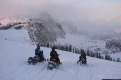 snowies-sar